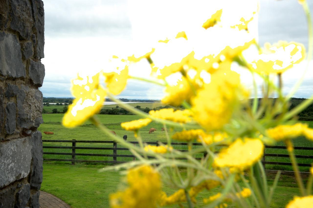 Bunratty Meadows Bed & Breakfast Kültér fotó