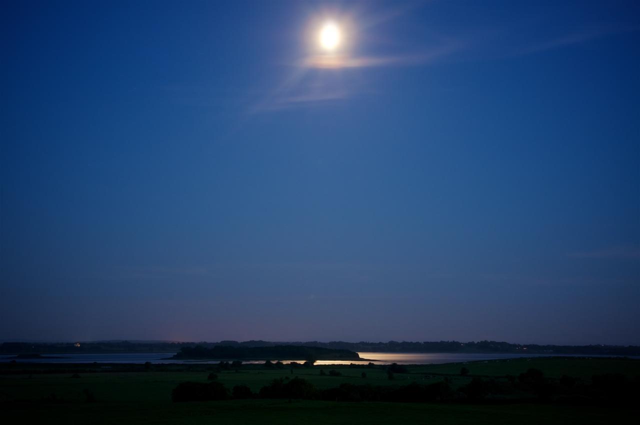 Bunratty Meadows Bed & Breakfast Kültér fotó